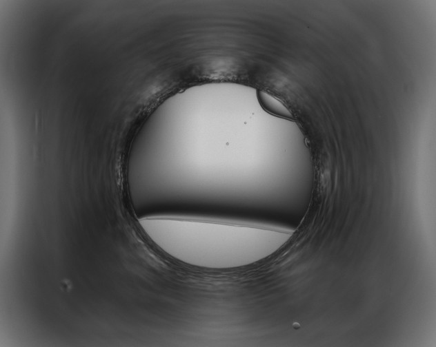 X0000086950620200704161058