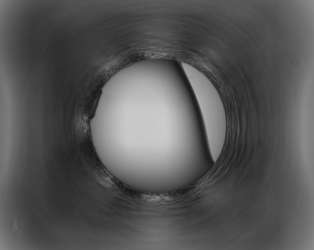 X0000086950621200704161058