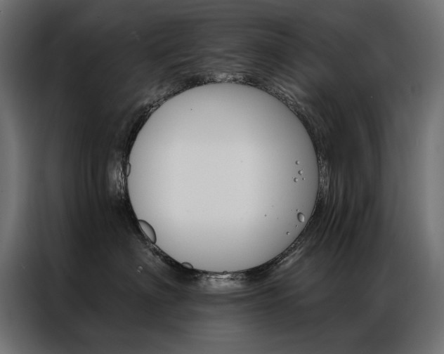 X0000086950622200704161058
