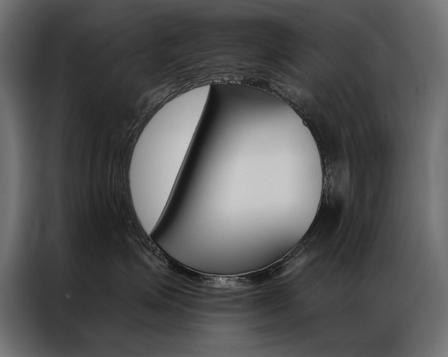 X0000086950623200704161058