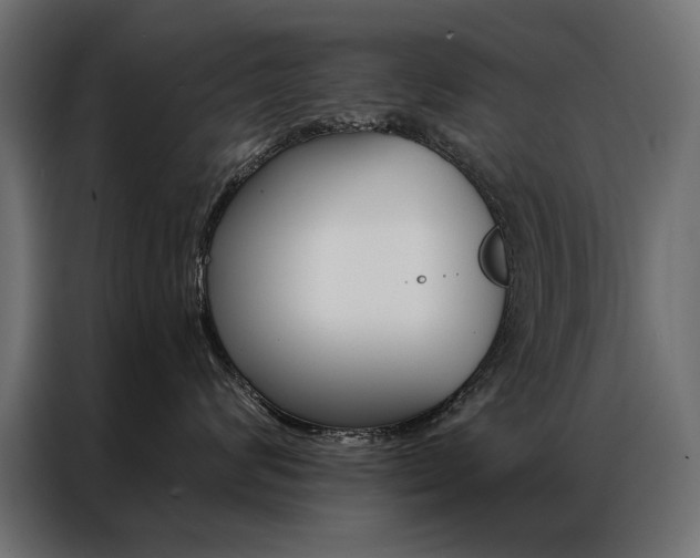 X0000086950624200704161058