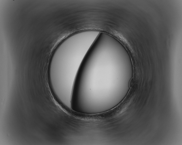 X0000086950625200704161058