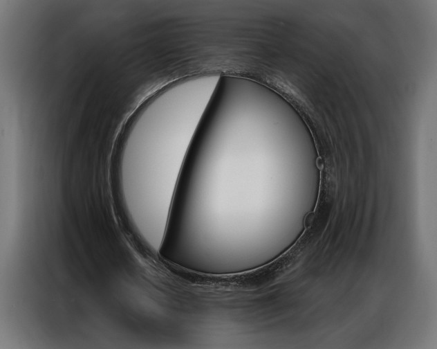 X0000086950626200704161058