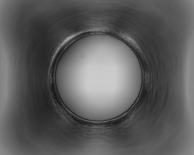 X0000086950628200704161058