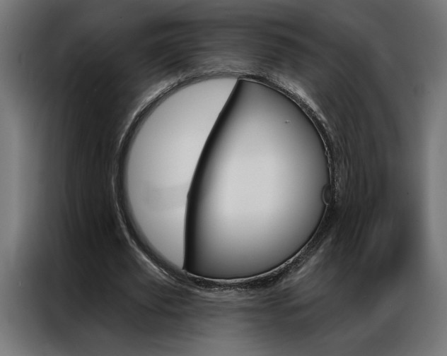 X0000086950629200704161058