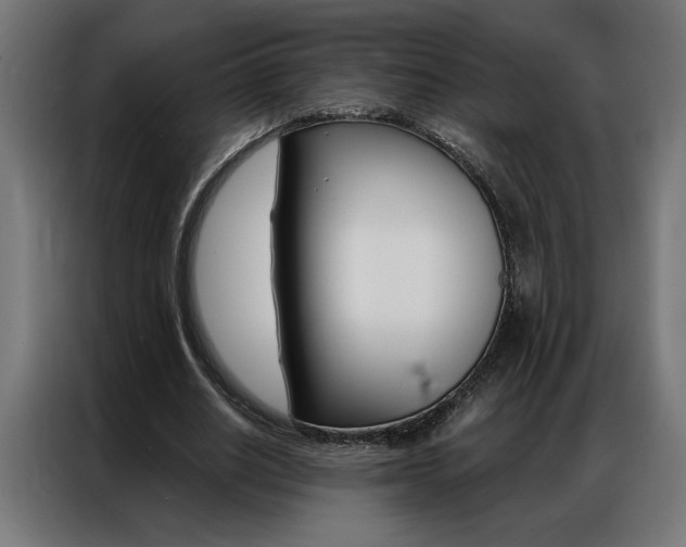 X0000086950630200704161058