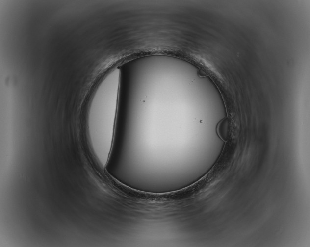 X0000086950631200704161058