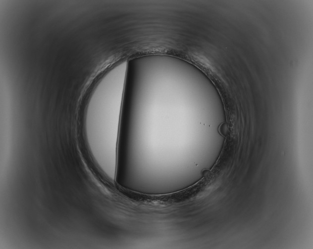 X0000086950634200704161058