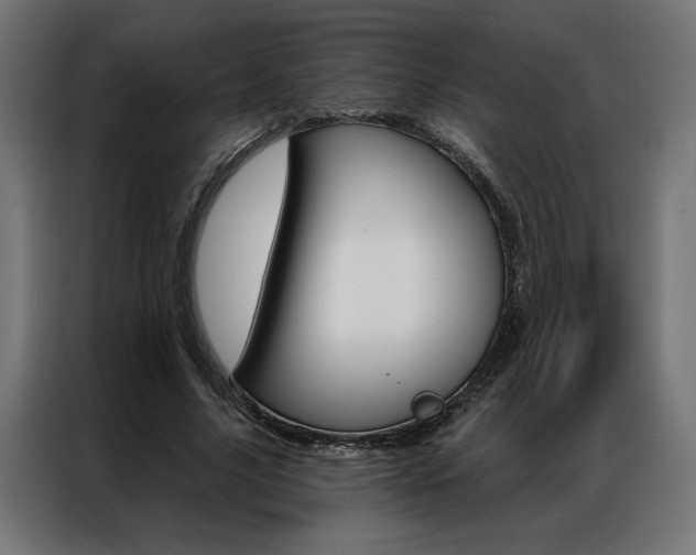 X0000086950635200704161058