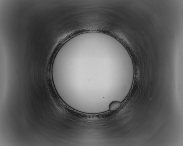 X0000086950636200704161058