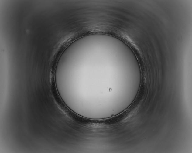 X0000086950637200704161058