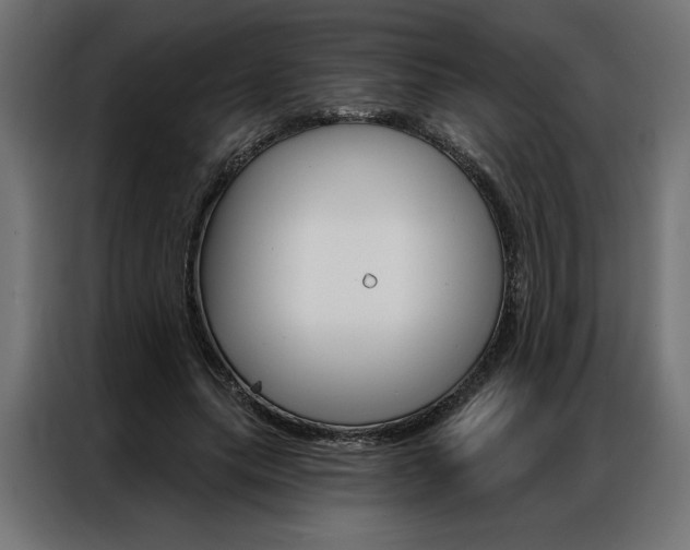 X0000086950639200704161058