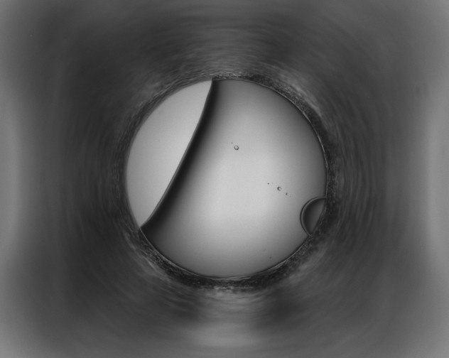 X0000086950641200704161058
