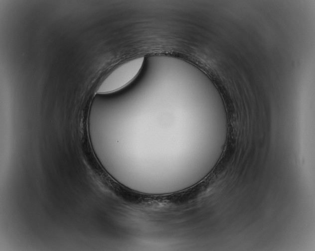 X0000086950642200704161058