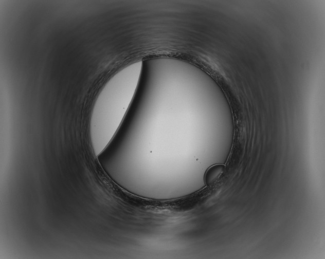 X0000086950643200704161058