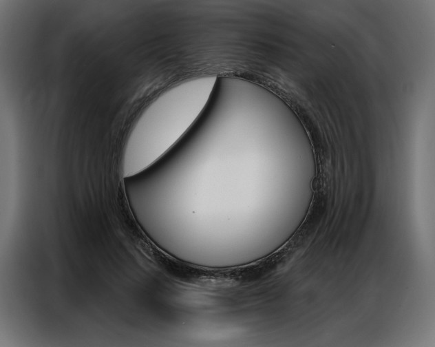 X0000086950644200704161058