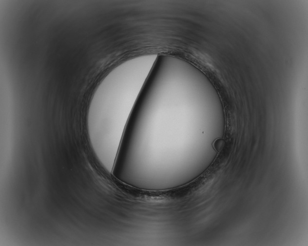 X0000086950645200704161058