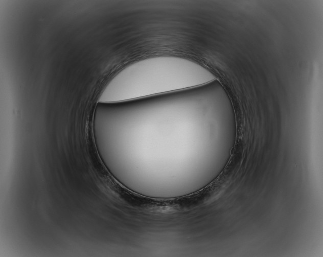 X0000086950646200704161058