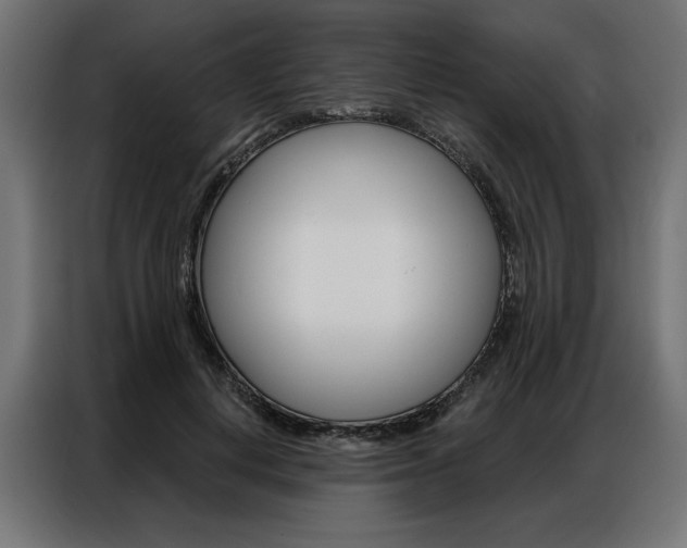 X0000086950648200704161058