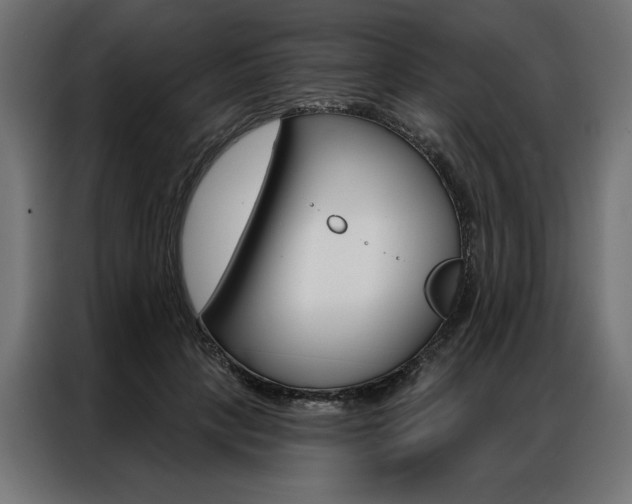 X0000086950649200704161058