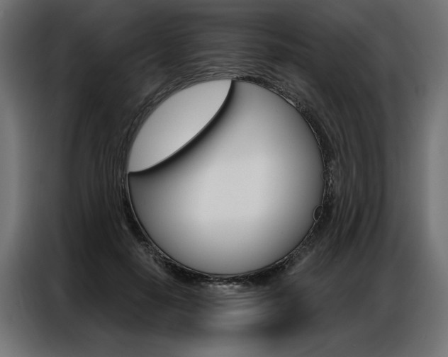 X0000086950650200704161058
