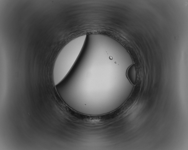 X0000086950651200704161058
