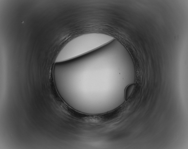 X0000086950652200704161058