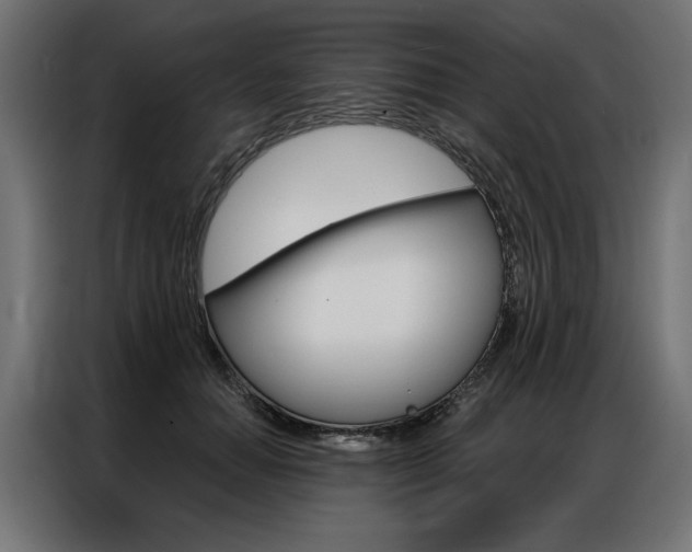X0000086950654200704161058