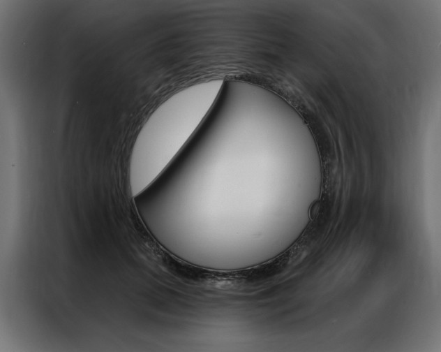 X0000086950655200704161058