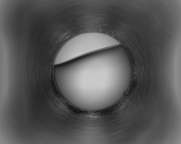 X0000086950656200704161058