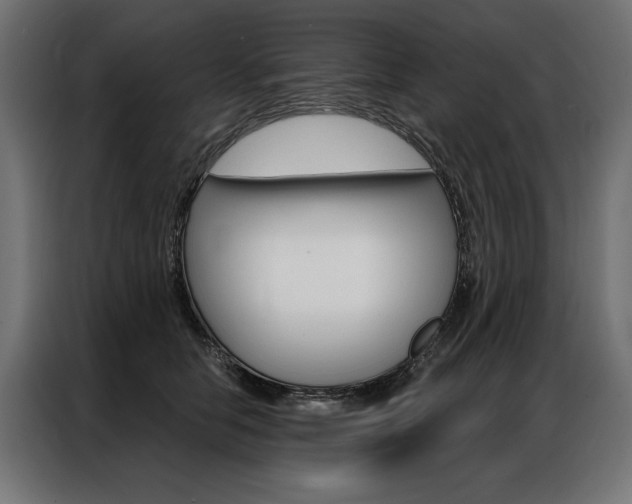 X0000086950658200704161058