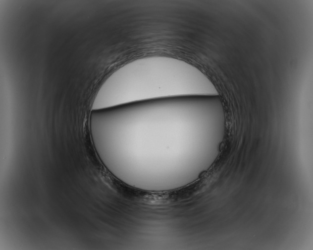X0000086950660200704161058