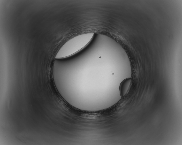 X0000086950661200704161058