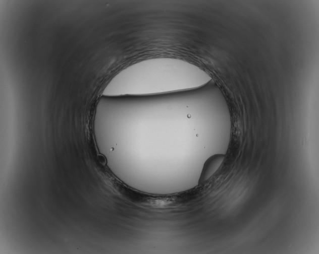X0000086950662200704161058