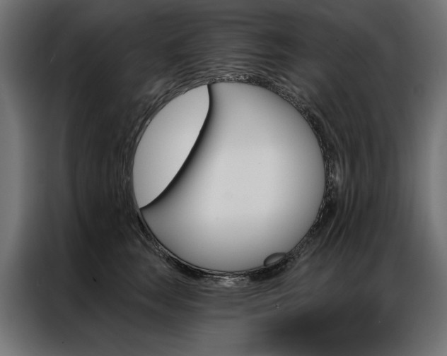 X0000086950663200704161058
