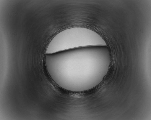 X0000086950664200704161058