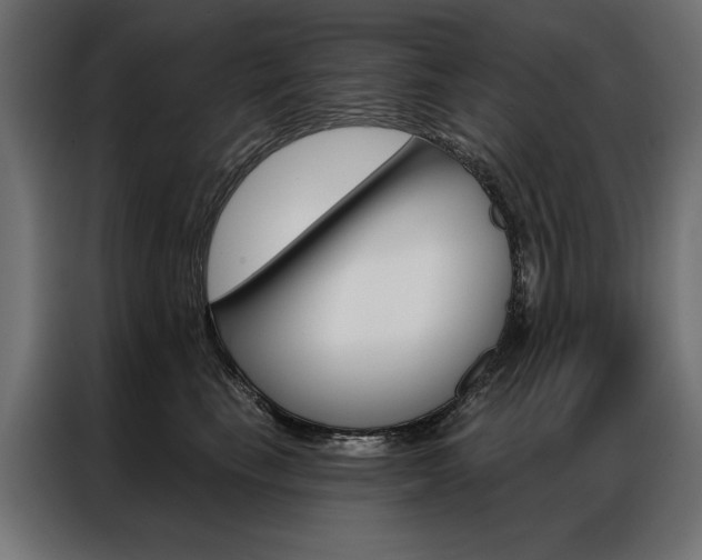 X0000086950665200704161058