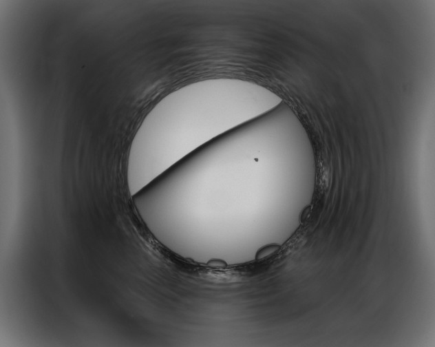 X0000086950666200704161058