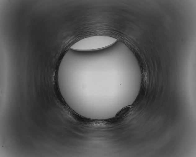 X0000086950668200704161058