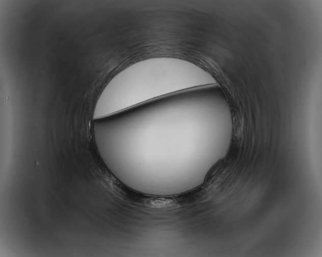 X0000086950669200704161058