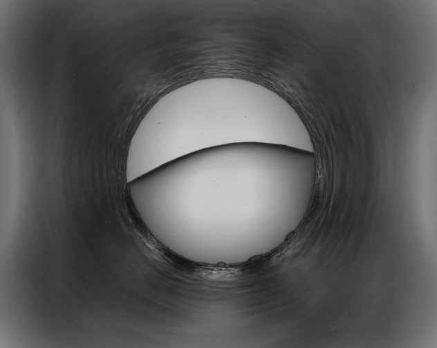X0000086950670200704161058