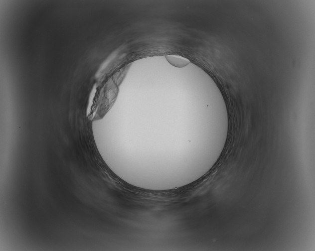 X0000086950672200704161058