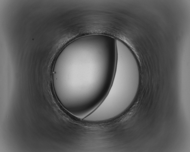 X0000086950673200704161058