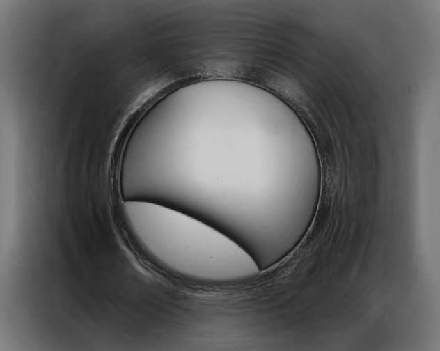 X0000086950674200704161058