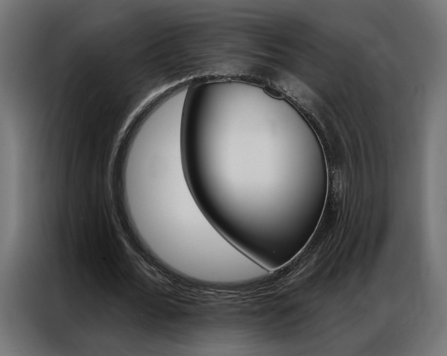 X0000086950676200704161058