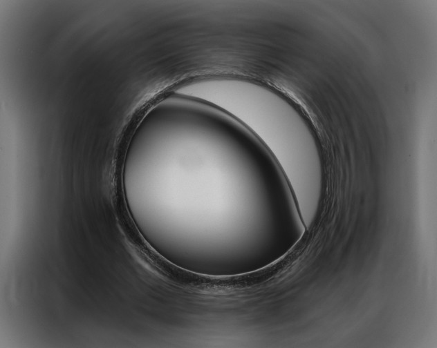 X0000086950677200704161058