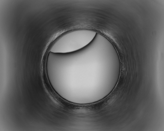 X0000086950678200704161058