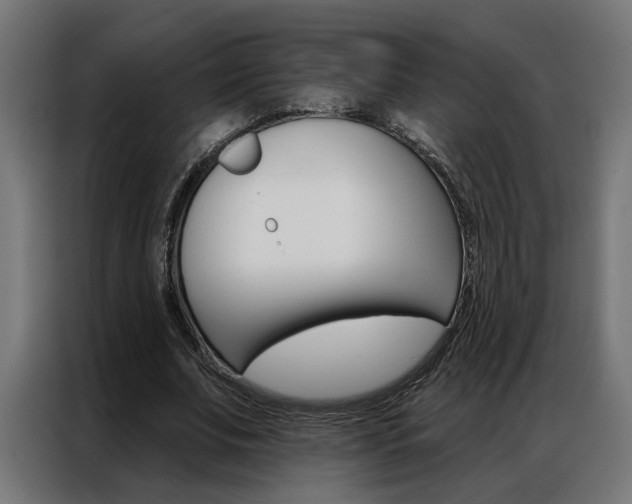 X0000086950679200704161058