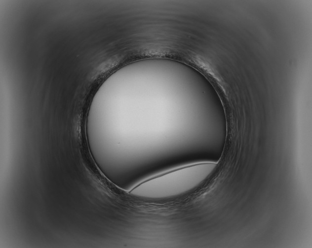 X0000086950681200704161057