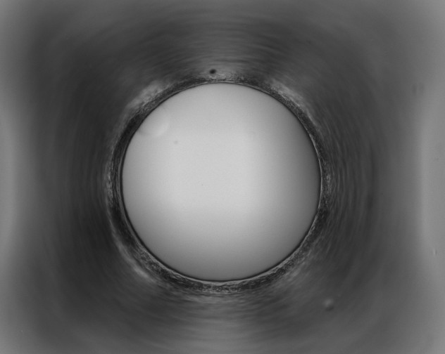 X0000086950682200704161057